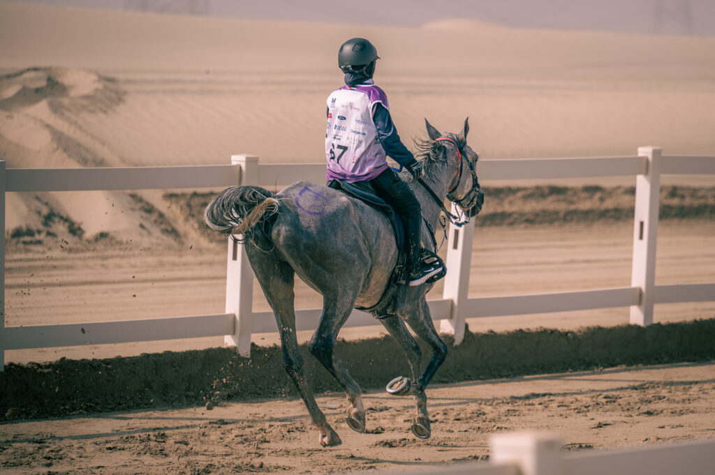 Endurance race fence — EIEV