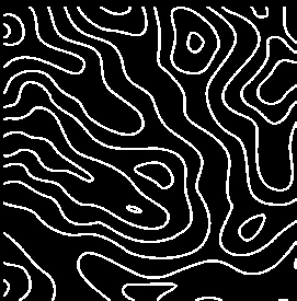 Topographic pattern